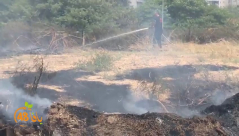  بالفيديو: حريق كبير في الاحراش شرق مدينة يافا 